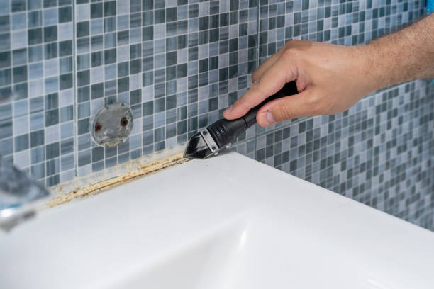 Best Toxic Mold Removal  in South Barrington, IL