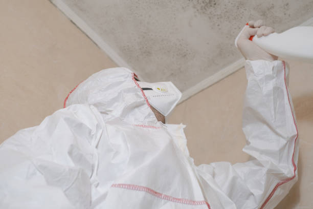 Best Emergency Mold Removal  in South Barrington, IL